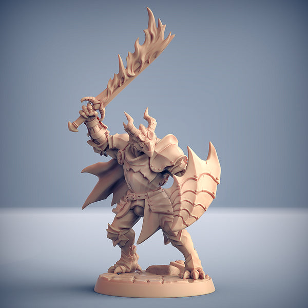 Dragonguard Set 15 (Artisan Guild)