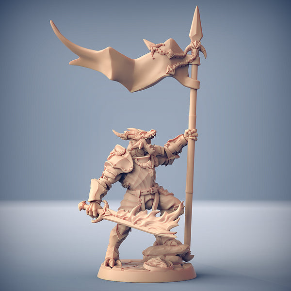 Dragonguard Set 15 (Artisan Guild)