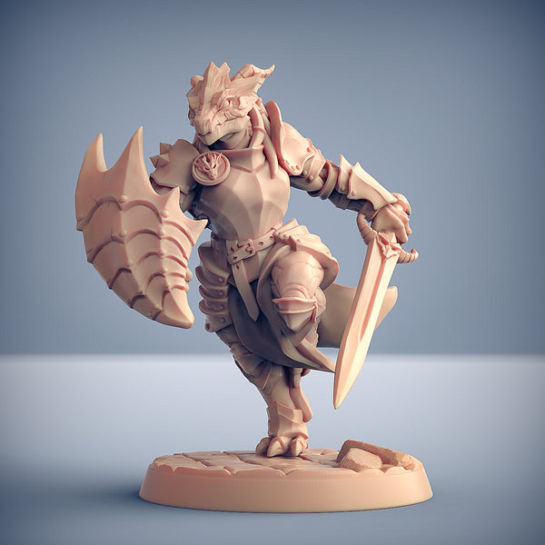 Dragonguard Set 15 (Artisan Guild)