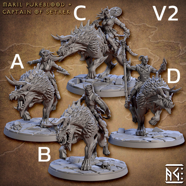 City of Intrigues Set 40 (Artisan Guild)