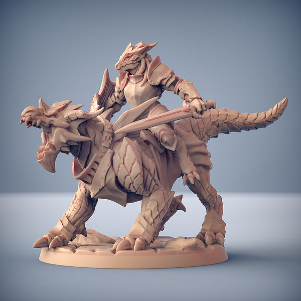 Dragonguard Set 15 (Artisan Guild)