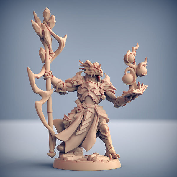 Dragonguard Set 15 (Artisan Guild)