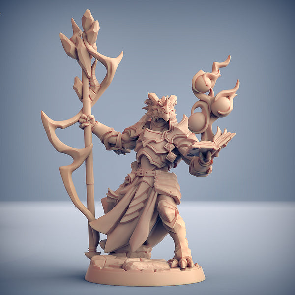 Dragonguard Set 15 (Artisan Guild)