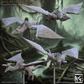 Lizardmen of Falgor's Swamp Set 74 (Artisan Guild)