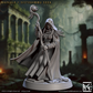 Veiled Sisterhood Set 71 (Artisan Guild)