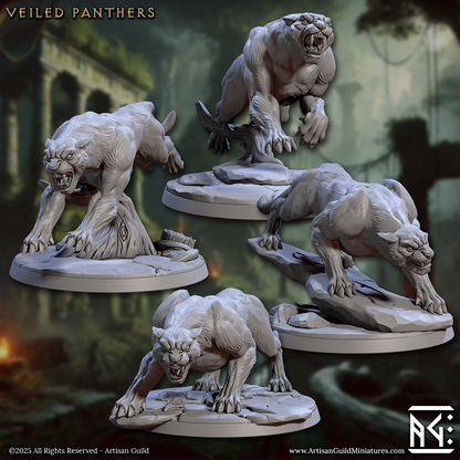 Veiled Sisterhood Set 71 (Artisan Guild)