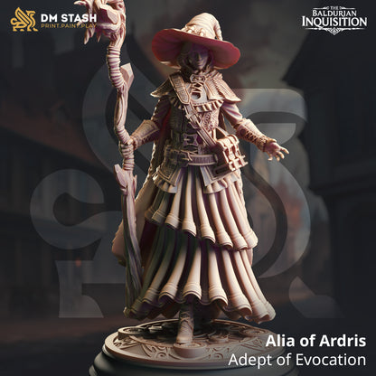 The Baldurian Inquisition Set 48 (DM Stash)