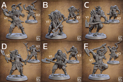 Skutagaard Northmen Saga II Set 53 (Artisan Guild)