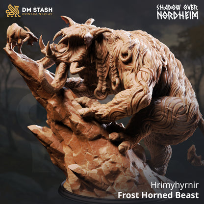 Shadow Over Nordheim Set 55 (DM Stash)