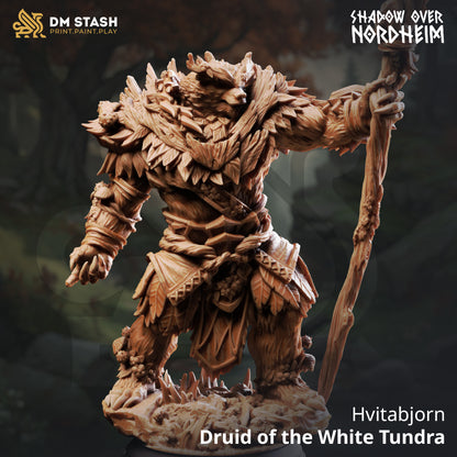 Shadow Over Nordheim Set 55 (DM Stash)