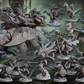 Lizardmen of Falgor's Swamp II - Set 86 (Artisan Guild)