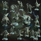 The Fey Court Set 50 (DM Stash)
