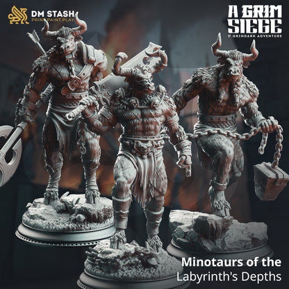 A Grom Siege Set 49 (DM Stash)