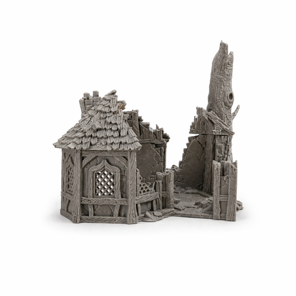 Ruined Alchemist's House