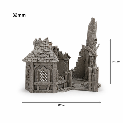 Ruined Alchemist's House