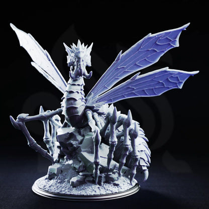 Schism of the Drow Set 66 (DM Stash)
