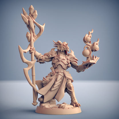Dragonguard Set 15 (Artisan Guild)